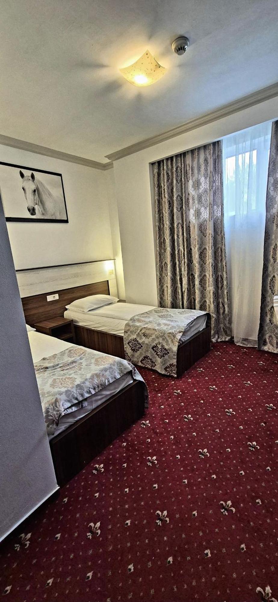 Hostel Orhideea 布泽乌 外观 照片